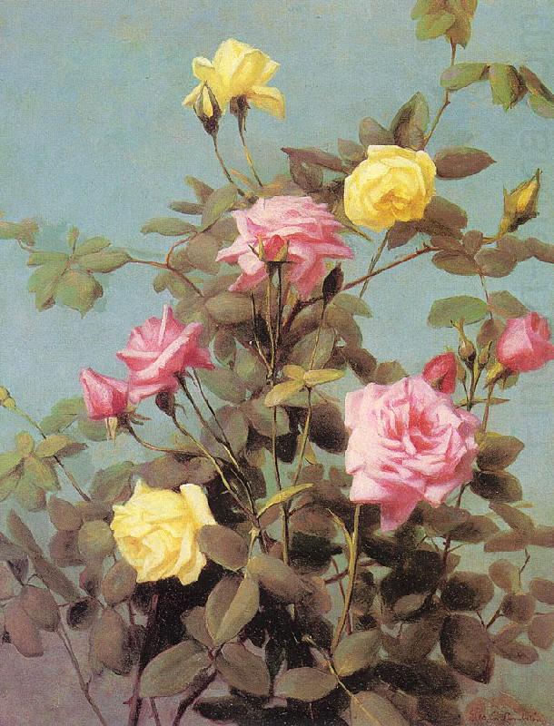 Lambdin, George Cochran Roses china oil painting image